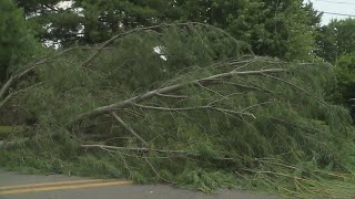 Storm causes downed trees, power outages in Kentucky