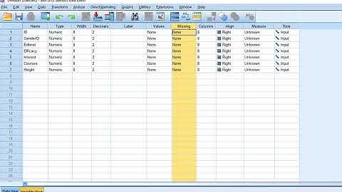 Setting up SPSS data file (2018)