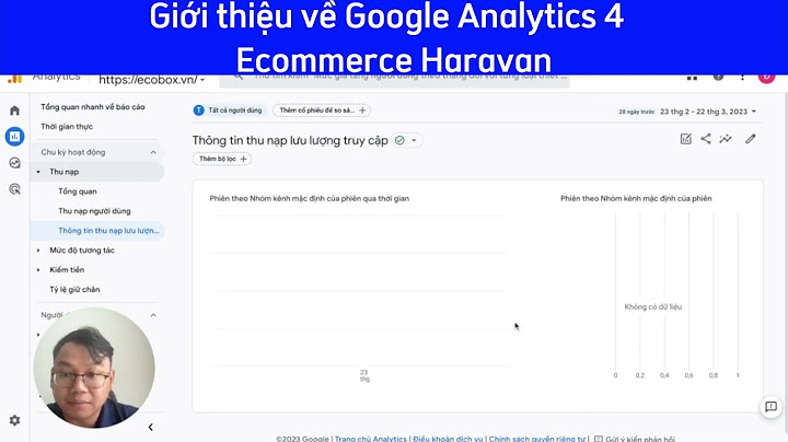 Hướng dẫn cài đặt google analytics haravan