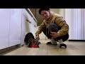 虚無犬 犬付き