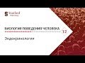 Биология поведения человека: Лекция #12. Эндокринология [Роберт Сапольски, 2010. Стэнфорд]