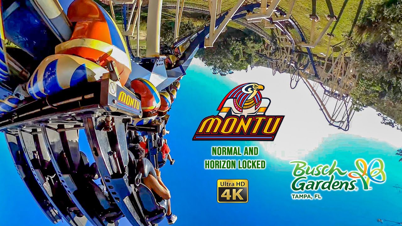 Montu Roller Coaster Back Row On Ride 4K POV Busch Gardens Tampa 2022 ...
