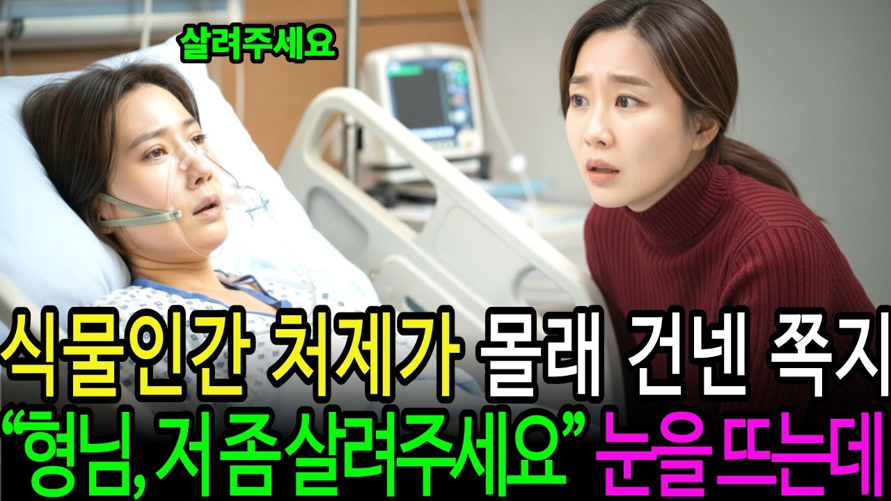 삼 년 만에 깨어난 처제의 한마디 “형부만 아니야”… 12억 보험금 뒤에 숨은 가족의 배신#실화사연 #가족배신 #보험금사건 #충격고백 #시니어드라마