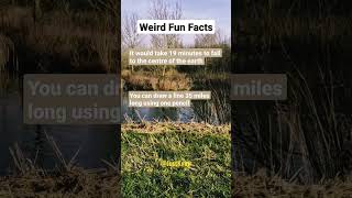 WTF fun facts.🤣🙌comments down below and subscribe👇🙏 #shorts #shortsvideo #weird