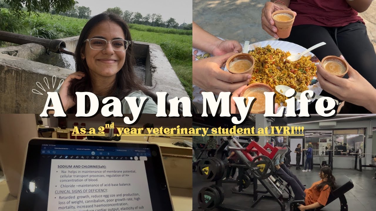 A day in my life as a 2nd year veterinary student at IVRI!!!