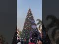 Merry Christmas decoration in Select city walk in Delhi India #india #christmas #christmastree