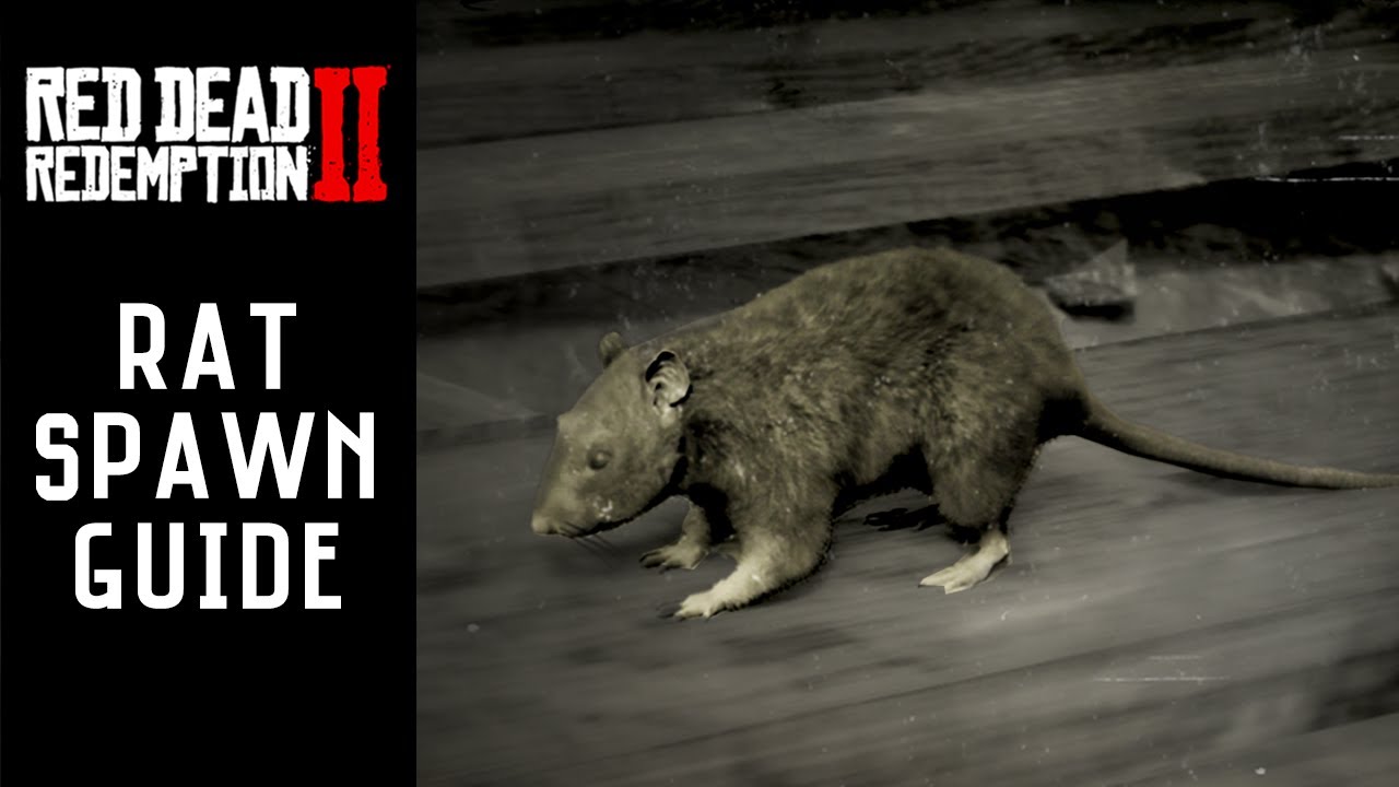 RDR2 Black Brown Rat Locations Hunting Requests 2 Red Dead rdr2-black-brown-rat-locations-hunting-requests-2-red-dead