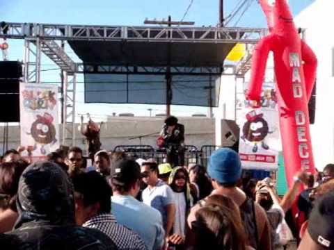 Mad Decent Block Party 2010, Los Angeles