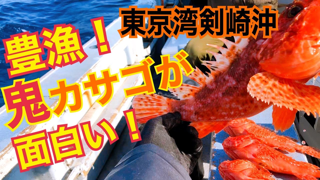 【オニカサゴ釣り】豊漁！東京湾で鬼カサゴに挑む｜餌の付け方｜2023.2.18