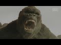 Pure action cut 4k kong vs fox team  kong skull island 2017 action adventure