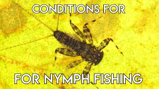 Nymphing Conditions | Guide Tips