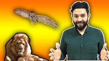 Yabancılara Türkçe Öğretimi - Hayvanlar Âleminde Tura Çıkalım