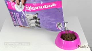 EUKANUBA PUPPY SMALL BREED - Miscota.co.uk EUKANUBA PUPPY SMALL BREED - Miscota.co.uk
