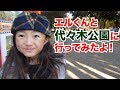 エルくんと一緒に代々木公園にいってみたよ♪【犬散歩】