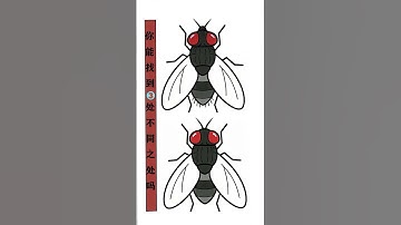 Can you find the three differences in these two pictures in 5 seconds? I never thought it would #37