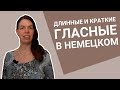 ДЛИННЫЕ и КРАТКИЕ ГЛАСНЫЕ в немецком