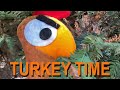 Turkey time