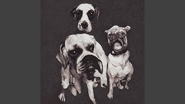 Bitch Behave (feat. Vanither & Parallax Beatz)