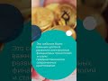 Создание первой электронной системы денег - eCash #криптовалюта #криптография #майнинг