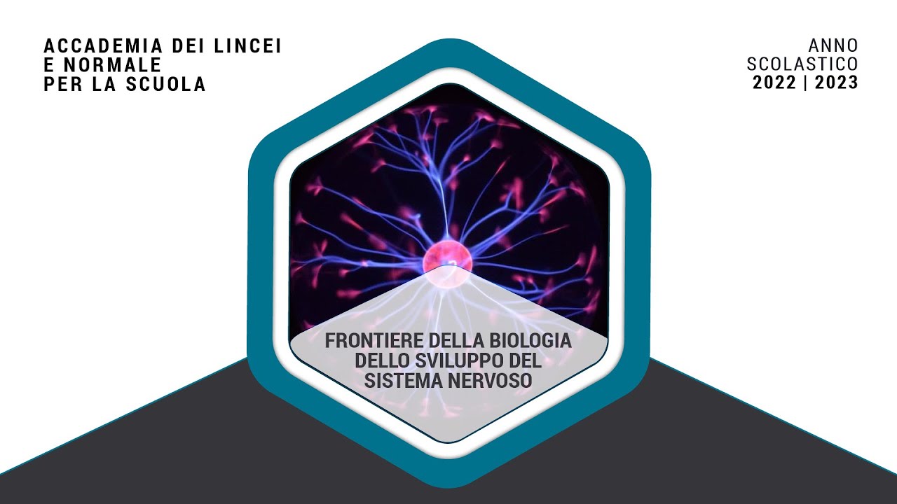 BIOLOGIA -Frontiere della Biologia dello Sviluppo del Sistema Nervoso- Lincei e SNS - 17 aprile 2023