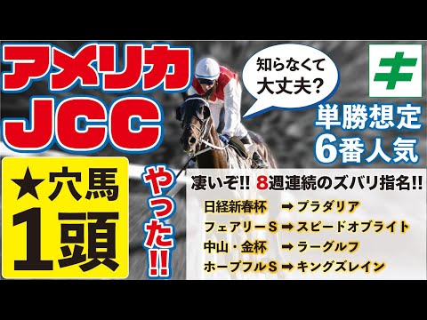 アメリカJCC 2023【予想/穴馬】単勝推定６番人気！「☆あの伏兵」の指名に至った３つの理由とは？