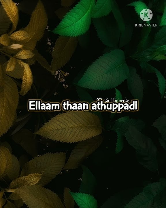 💕Solli Tharava 💕Aalwar💕Srikanth Deva💕Video Lyrics song 💕Tamil Whatsapp Status Songs💕