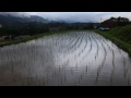 埼玉県横瀬町 寺坂棚田