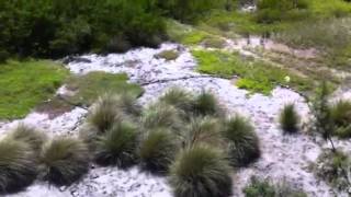 Vigia Chico Quintana Roo