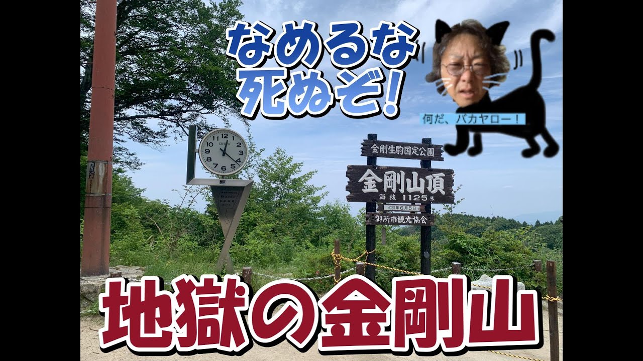 金剛山をなめるんじゃない!　千早本道ルート　　金剛山/ 千早城/ トレッキング/ 低山/ 登山/