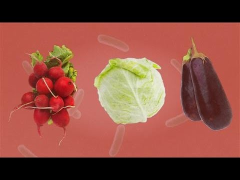 Video: Er E. Coli Smittsom? Overføring, Symptomer Og Forebygging