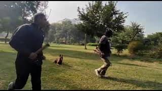 How To Teach Distraction Training Your dog Focus Heel