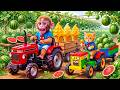 Monkey Nana Drives a Tractor to Harvest Watermelon with Tiny JCB Cat & Mishap While Making Ice Cream