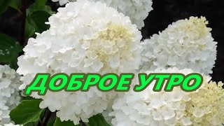 Добрейшего Утречка!