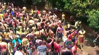 HOLI KIIT UNIVERSITY