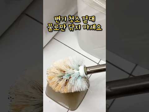 변기 청소 절대 물로만 닦지 마세요 thumbnail