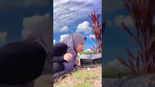 Sesakit apapun kan kulewati🫶🏻🫶🏻🫶🏻 alfatihah pak🌹🌹🌹