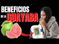 🔴INCREIBLES BENEFICIOS DE LA GUAYABA🍈 (LA MEJOR FRUTA DEL MUNDO) - BENEFITS OF GUAVA