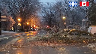 Árboles caidos y Sin corriente muchos residentes del Québec . LLuvia Congelada. Vivir en Canada ? 4k