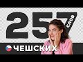 Самые используемые чешские слова Часть 1 Чешский язык с нуля 5 Самые используемые чешские слова Часть 1 Чешский язык с нуля 5