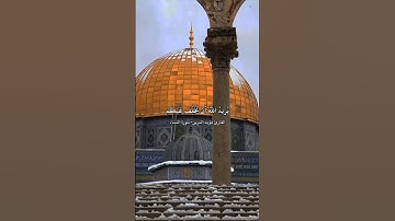 ﴿وَاللَّهُ يُريدُ أَن يَتوبَ عَلَيكُم﴾ القارئ مؤيد المزين .