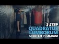 3 Step Quadratus Lumborum Stretch Program