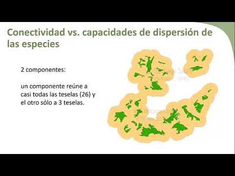 Vídeo: Los Refugios Para El Cambio Climático Y La Conectividad Del Hábitat Promueven La Persistencia De Las Especies