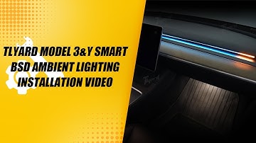 Model 3 & Y Smart BSD Ambient Lighting Installation Video