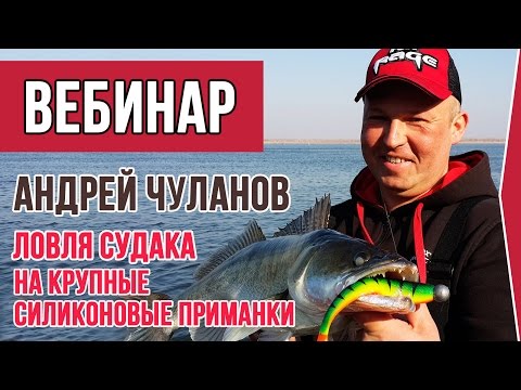 силиконовые приманки для ночной ловли судака