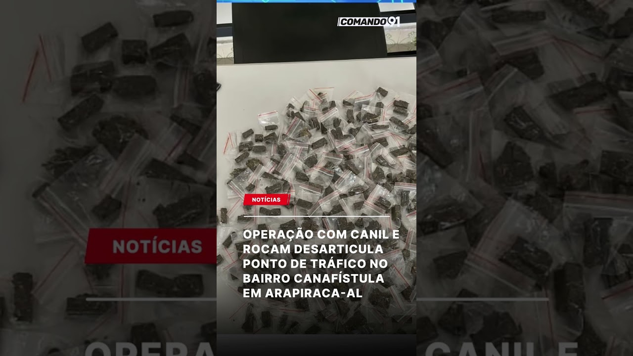 Operação com Canil e Rocam desarticula ponto de tráfico em Canafístula, em Arapiraca