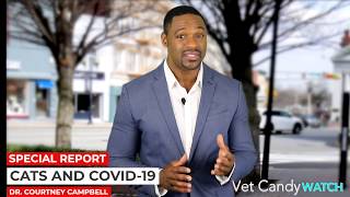 COVID-19 in animals?  A special report with Dr. Courtney Campbell