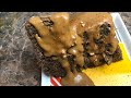 Black sapote chocolate brownie dr sebi alkaline electric vegan