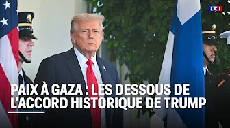 Paix à Gaza : les dessous de l'accord historique de Trump｜LCI