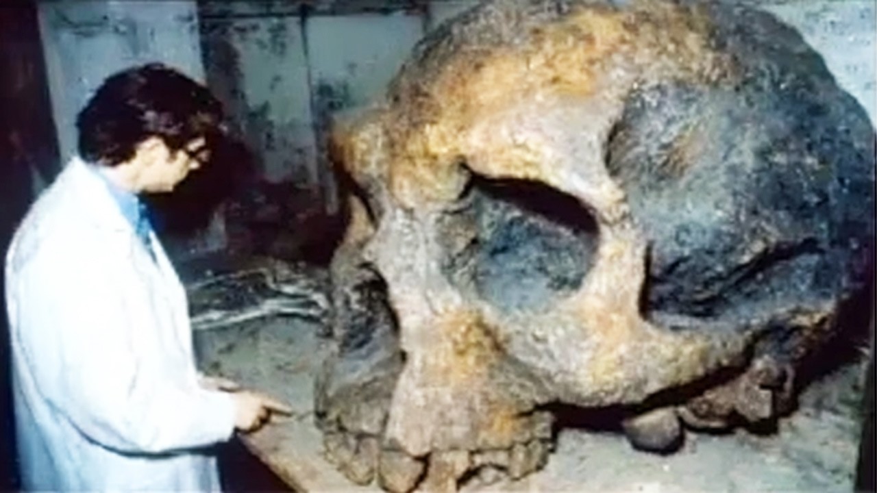 Discoveries That Forced Scientists to Completely Rewrite History - YouTube