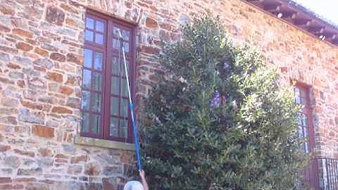 waterfed wagtails slipstream & mini slipstream